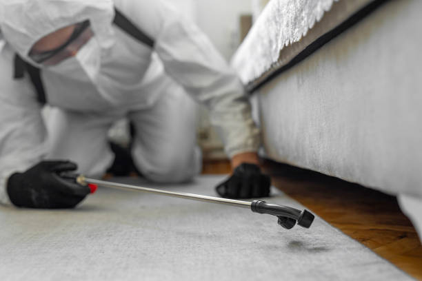 Professional Bed Bug Control technician working in Franklin, MI